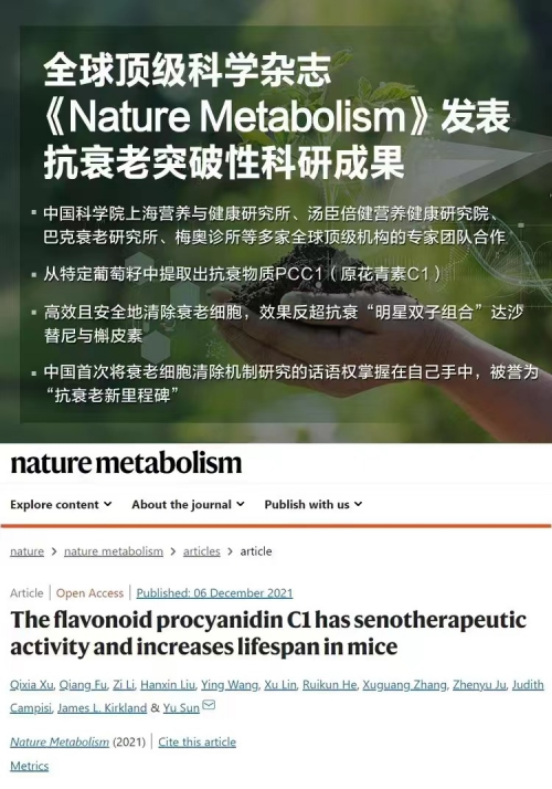 6565cac7af947 6565cac7af947